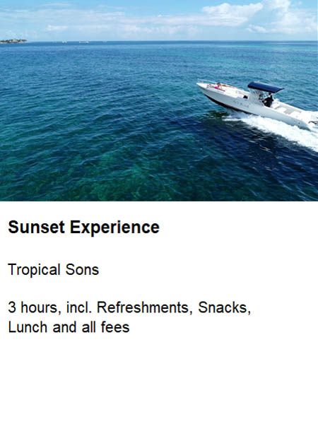 xr:d:DAF6Q0hrCQA:2,j:8255514023303059458,t:24011819