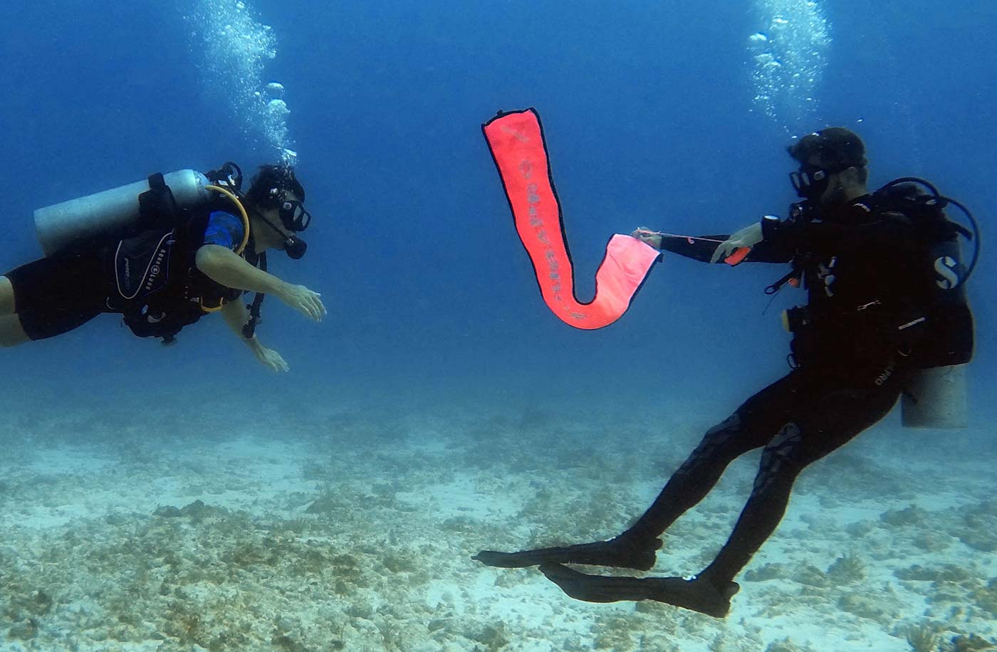 BeautyPlus_20221212091927087_save