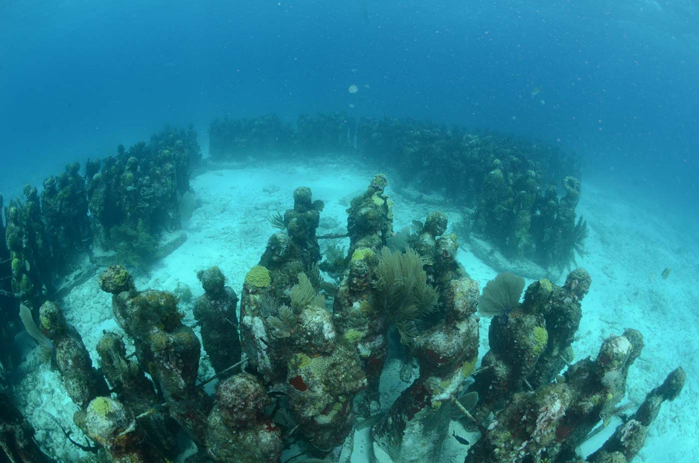 Evolution-1-MUSA-scaled