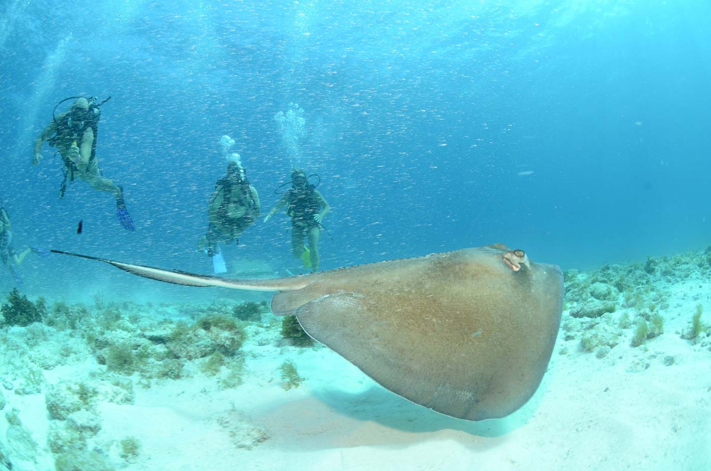 OW-Referral-E-Learning-2-scaled