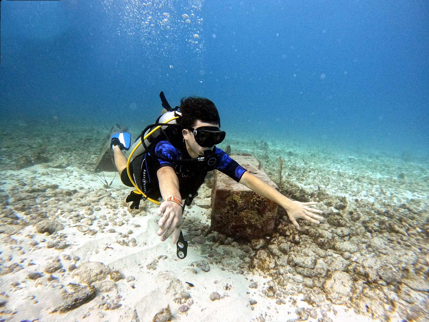 OW-Referral-E-Learning-3-scaled