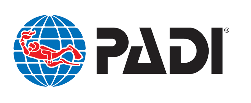 PADIno-background