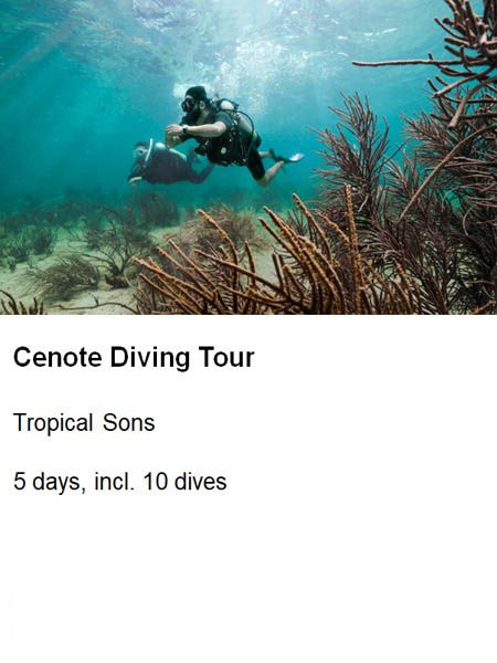 xr:d:DAF6QmBOEzk:5,j:5392350553844816979,t:24011818