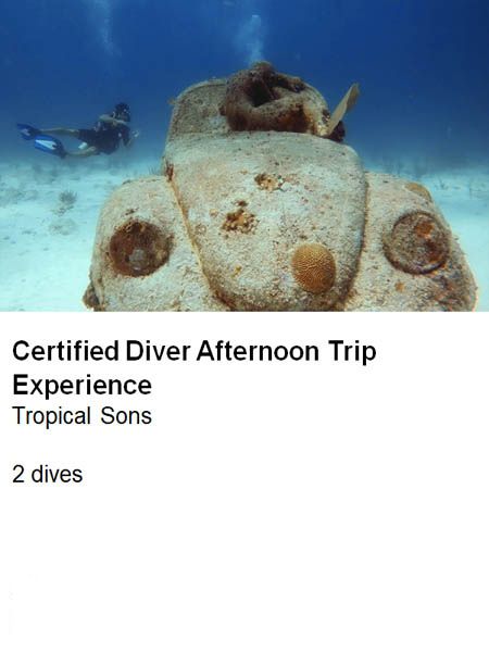 xr:d:DAF6Q0A6gdc:2,j:8228492423219122000,t:24011819