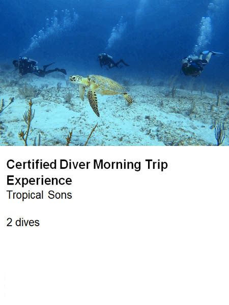 xr:d:DAF6QmT3cYU:2,j:4290094544274174840,t:24011818