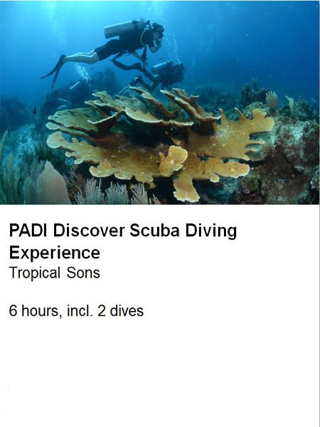 xr:d:DAF6Qm9JQEg:2,j:7892974247018183306,t:24011818