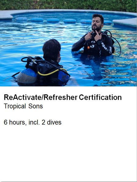 xr:d:DAF6Q6dHkNM:2,j:6071268203474145407,t:24011819