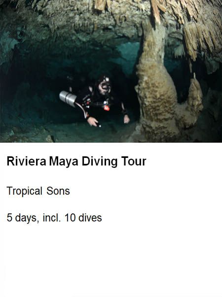 xr:d:DAF6Q3ooPCE:2,j:8255514023395745582,t:24011819